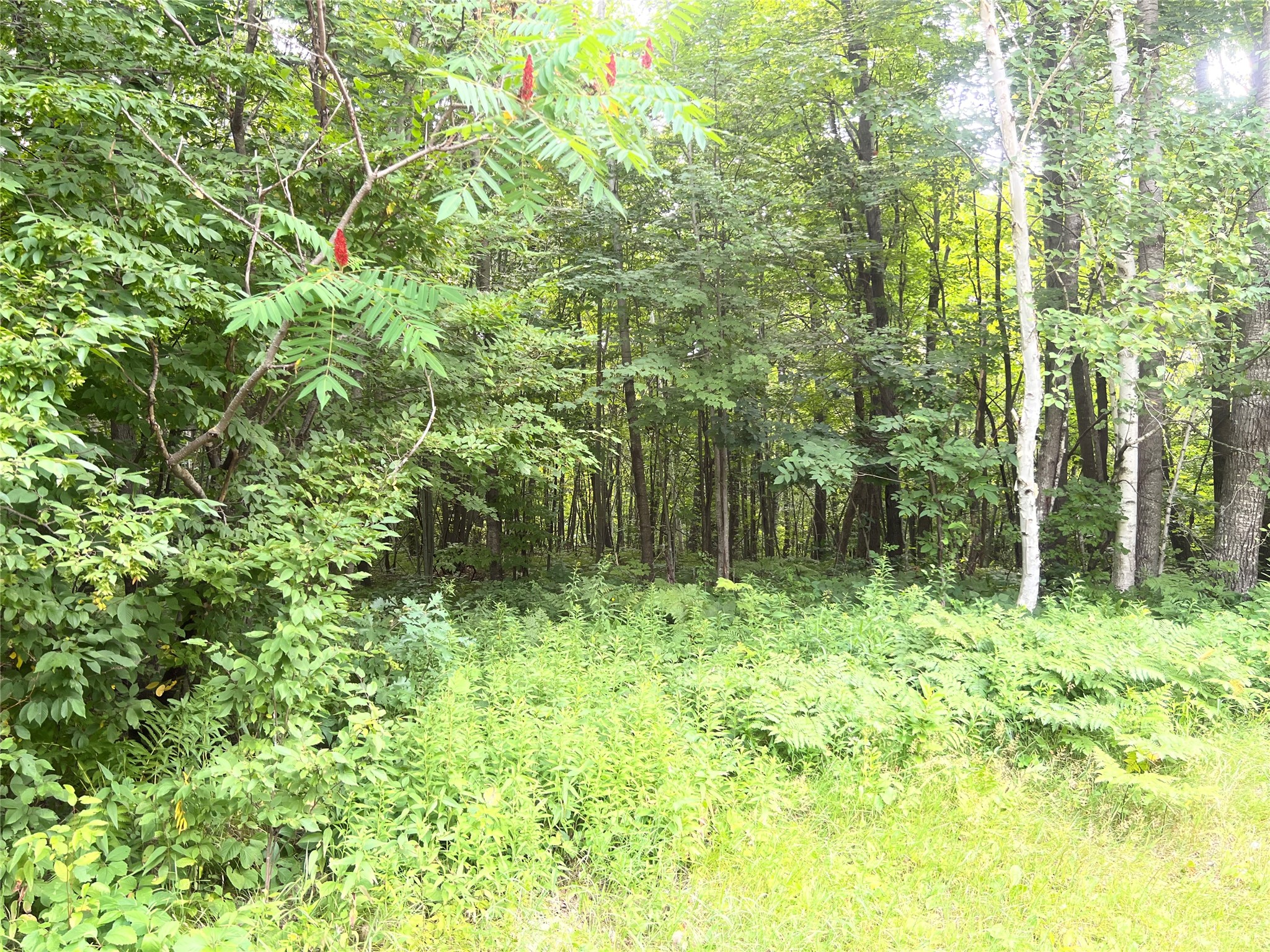 23871 Tollander Road Siren, WI 54872 - Photo 39 of 43 Gallery Image 39