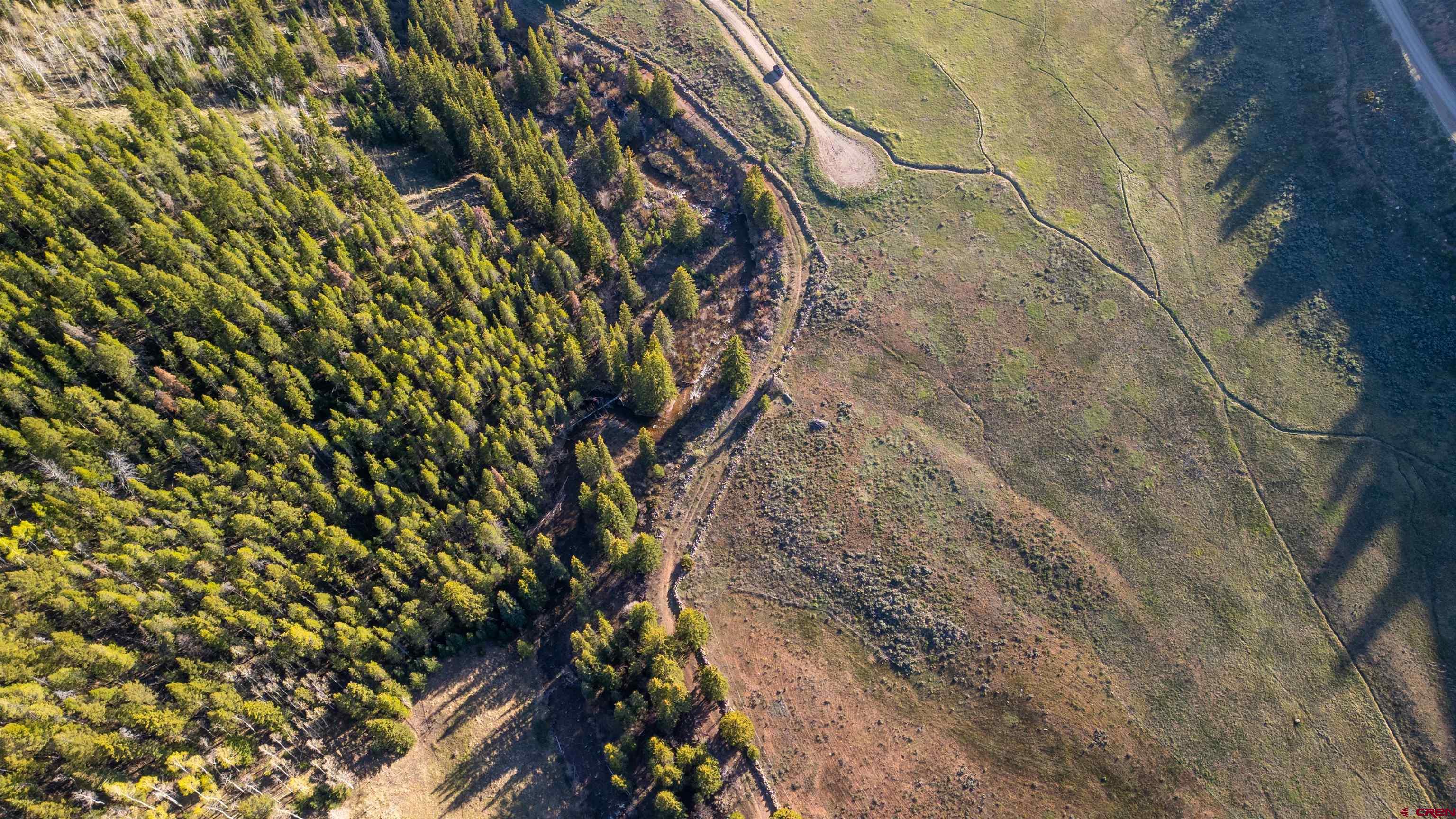 158 Clark Way Crested Butte, CO 81224 - Photo 12 of 35 a picture of a tree
