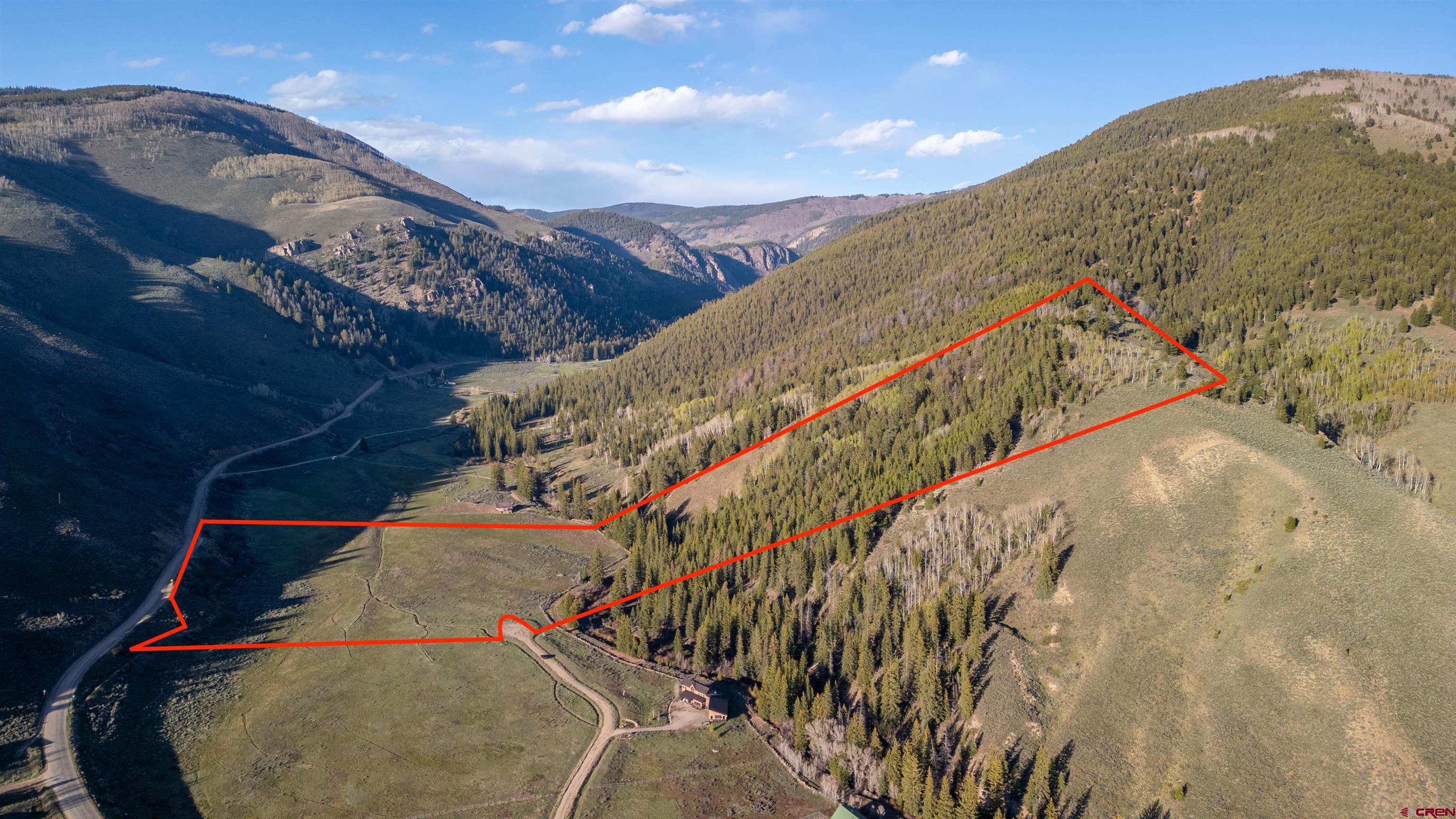 158 Clark Way Crested Butte, CO 81224 - Photo 3 of 35 a view of tall trees