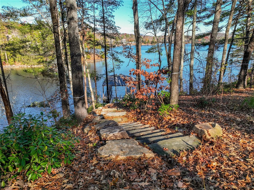 Lot 11 Old Chapman Bridge Road Salem, SC 29676 - Photo 3 of 15 Gallery Image 3