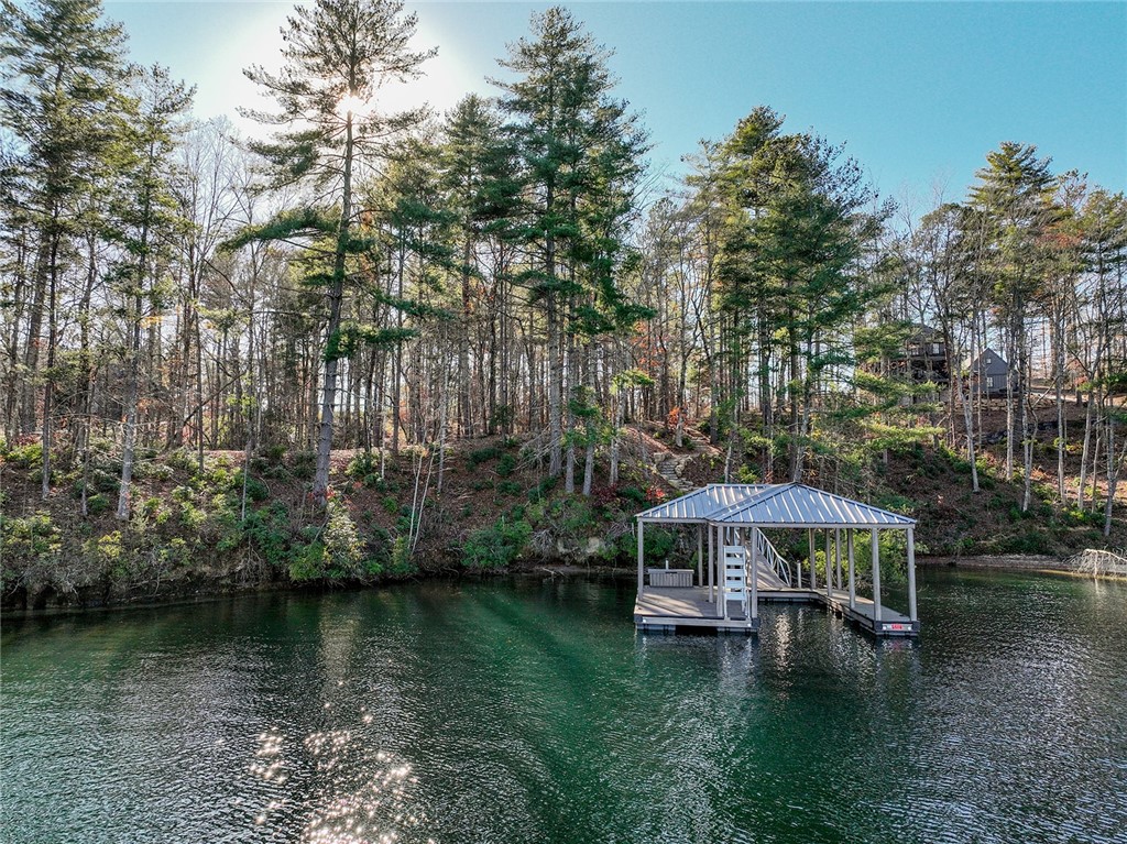 Lot 11 Old Chapman Bridge Road Salem, SC 29676 - Photo 4 of 15 Gallery Image 4