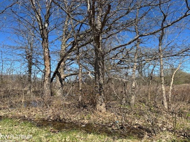 0 Petz Road Imlay City, MI 48444 - Photo 2 of 3