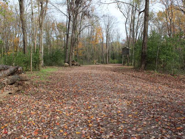 Lot 6 Sunset Point Road Tomahawk, WI 54487 - Photo 10 of 10 Gallery Image 10