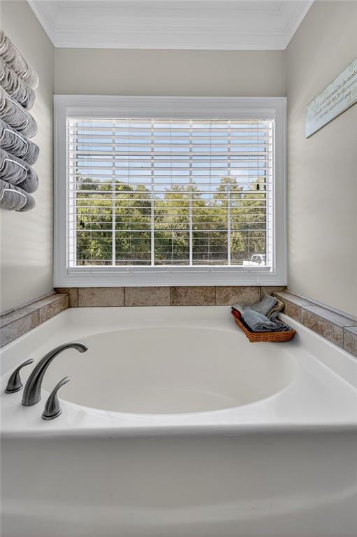 175 Tom Jones Road Kingston, GA 30145 - Photo 29 of 81