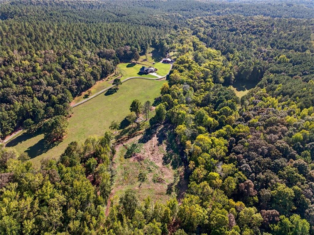 175 Tom Jones Road Kingston, GA 30145 - Photo 54 of 81