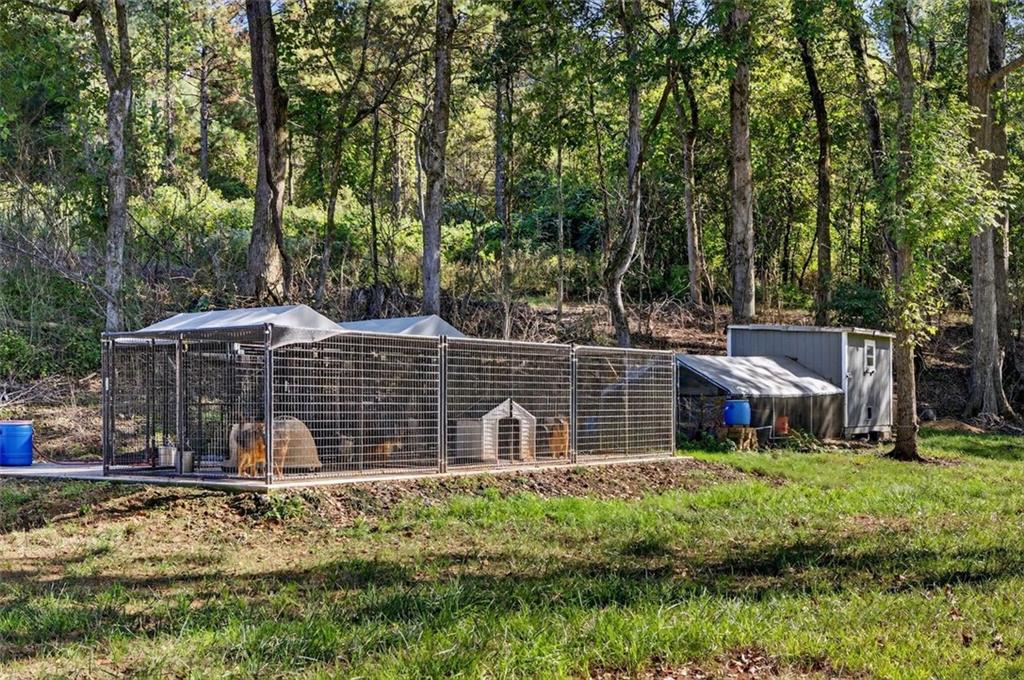 175 Tom Jones Road Kingston, GA 30145 - Photo 54 of 81