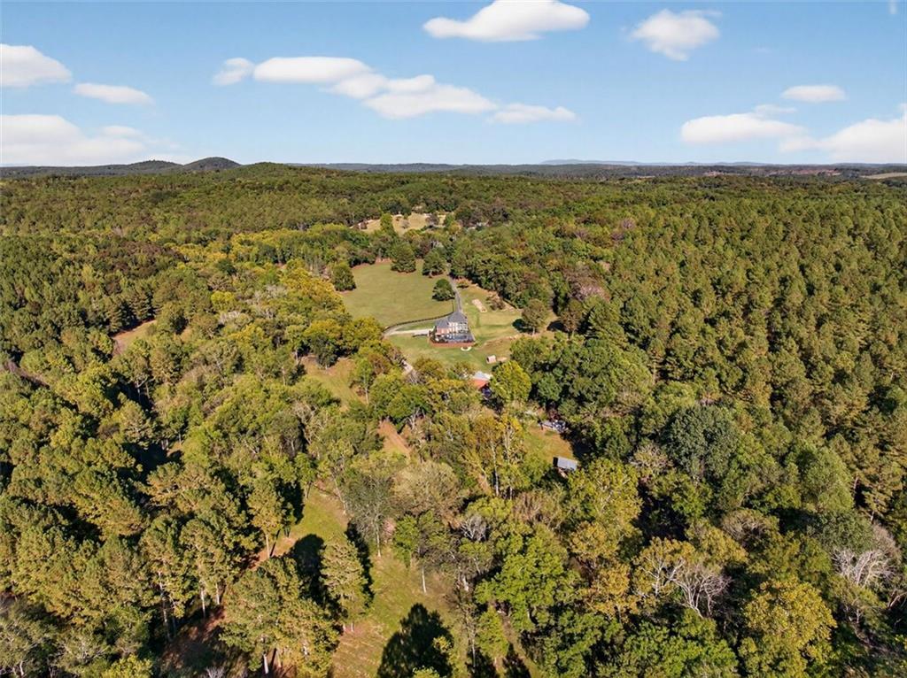 175 Tom Jones Road Kingston, GA 30145 - Photo 56 of 81