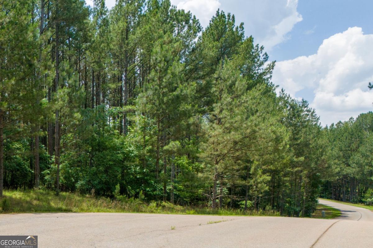 1441 Riverwalk Road Bishop, GA 30621 - Photo 6 of 7