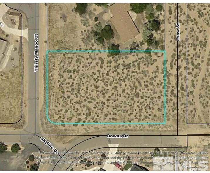 1644 Downs Drive Minden, NV 89423 - Photo 5 of 18 Photo 5