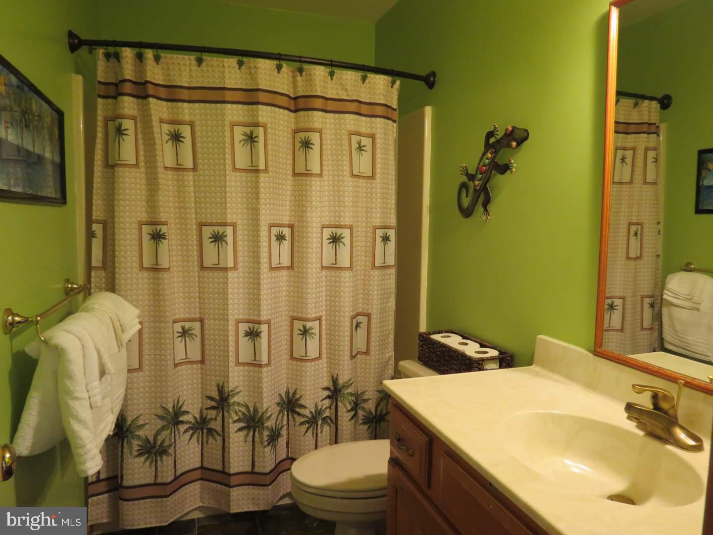 215 Boulder Hill Road Mohnton, PA 19540 - Photo 56 of 75