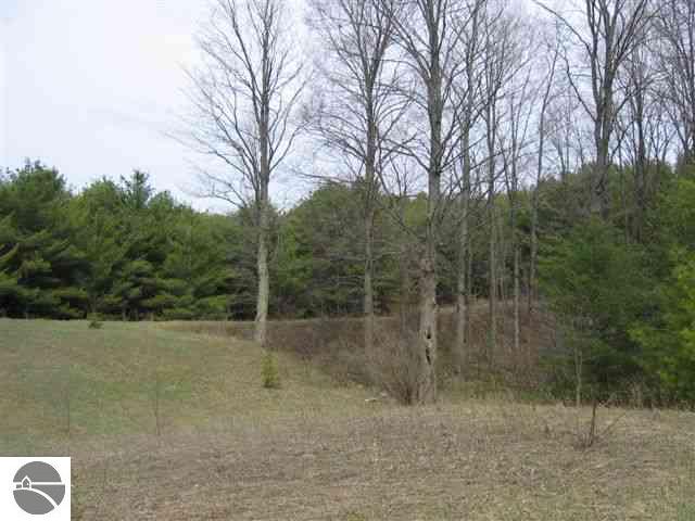 0 West Silver Lake Road Traverse City, MI 49684 - Photo 6 of 10