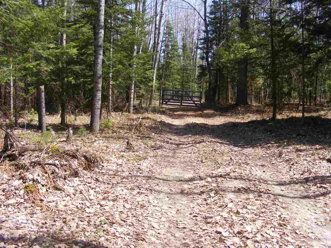 2137 East 12 Road Manton, MI 49663 - Photo 9 of 35 1845761-8.JPG