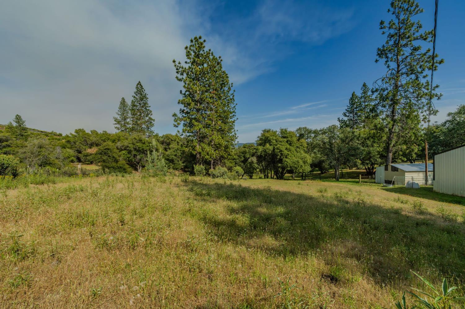 6216 Trout Lane Mountain Ranch, CA 95246 - Photo 13 of 39 a yard with trees in the background