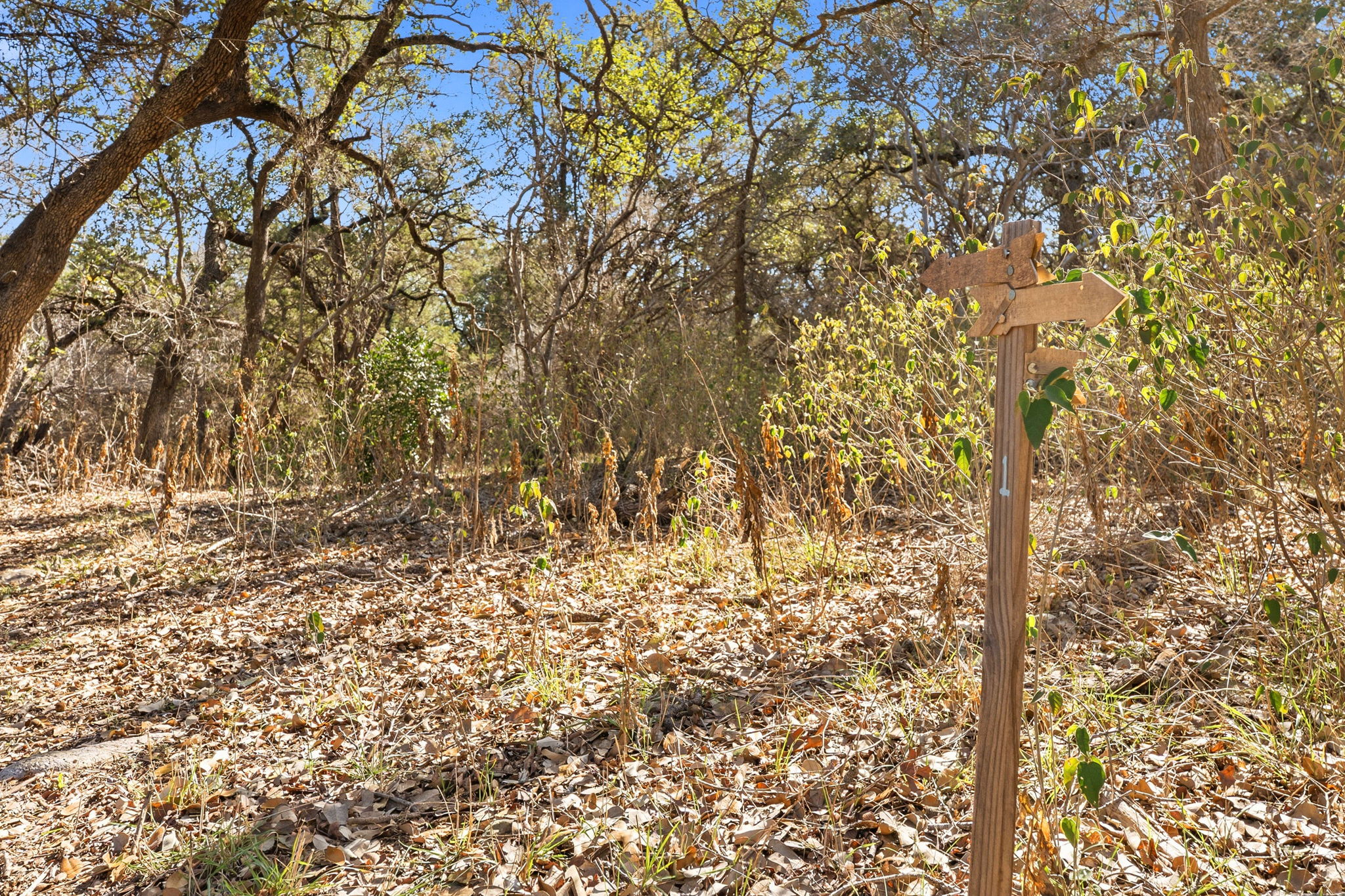 1081 Clark Cove Road Buda, TX 78610 - Photo 28 of 29 View of nature