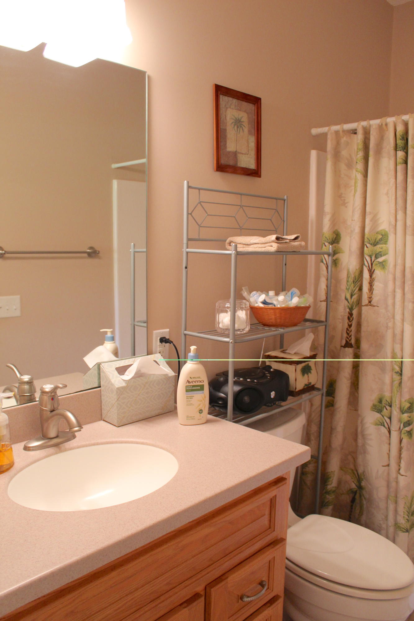 107 Waters Circle Road Hampton, SC 29924 - Photo 23 of 36 IMG_4212