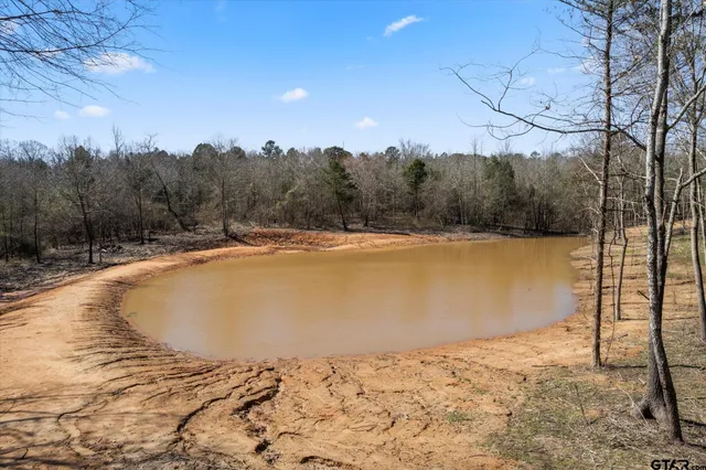 a view of a swimming pool with a yard