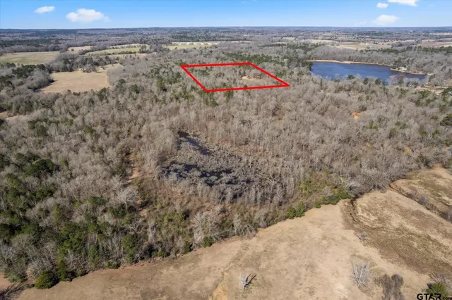 a view of a dry space with lots of trees