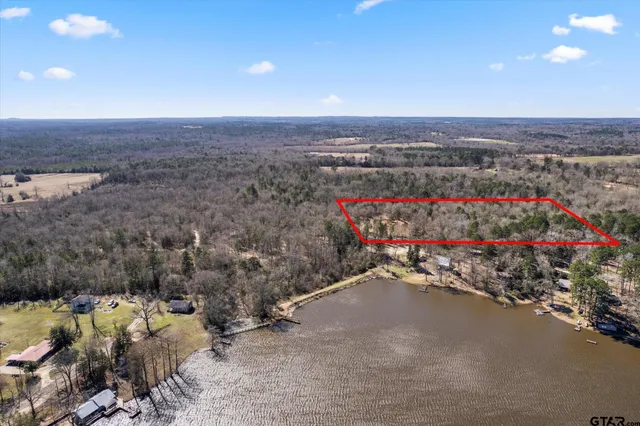 a view of dirt yard with a large tree