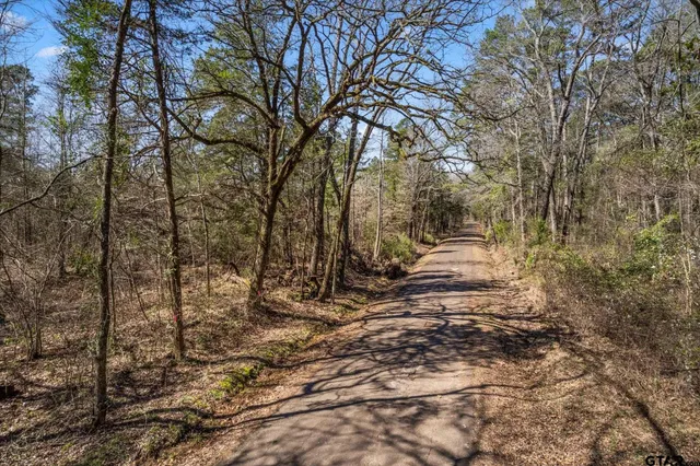 $175,000 | Tbd Woodchuck Road, Leesburg, TX 75451