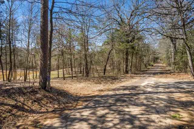 $175,000 | Tbd Woodchuck Road, Leesburg, TX 75451