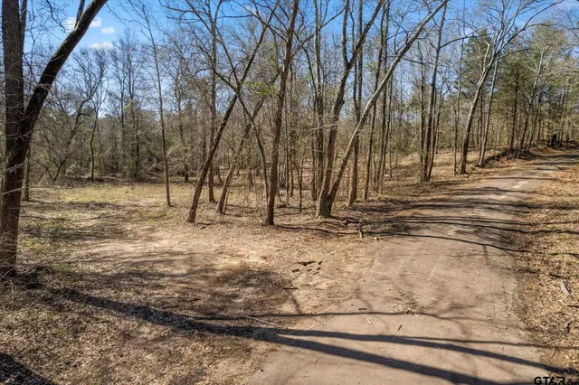 a view of yard covered with snow