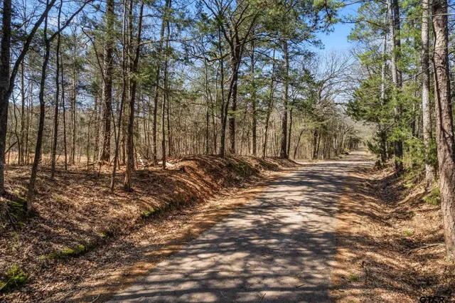 a view of outdoor space with trees