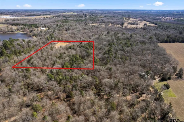 a view of a houses with a lush green forest