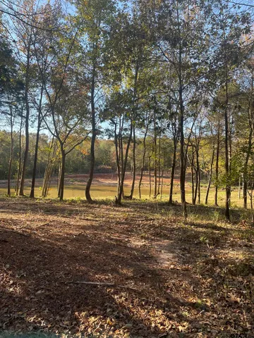 a view of a trees with a yard