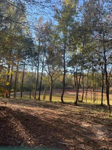 a view of outdoor space with trees