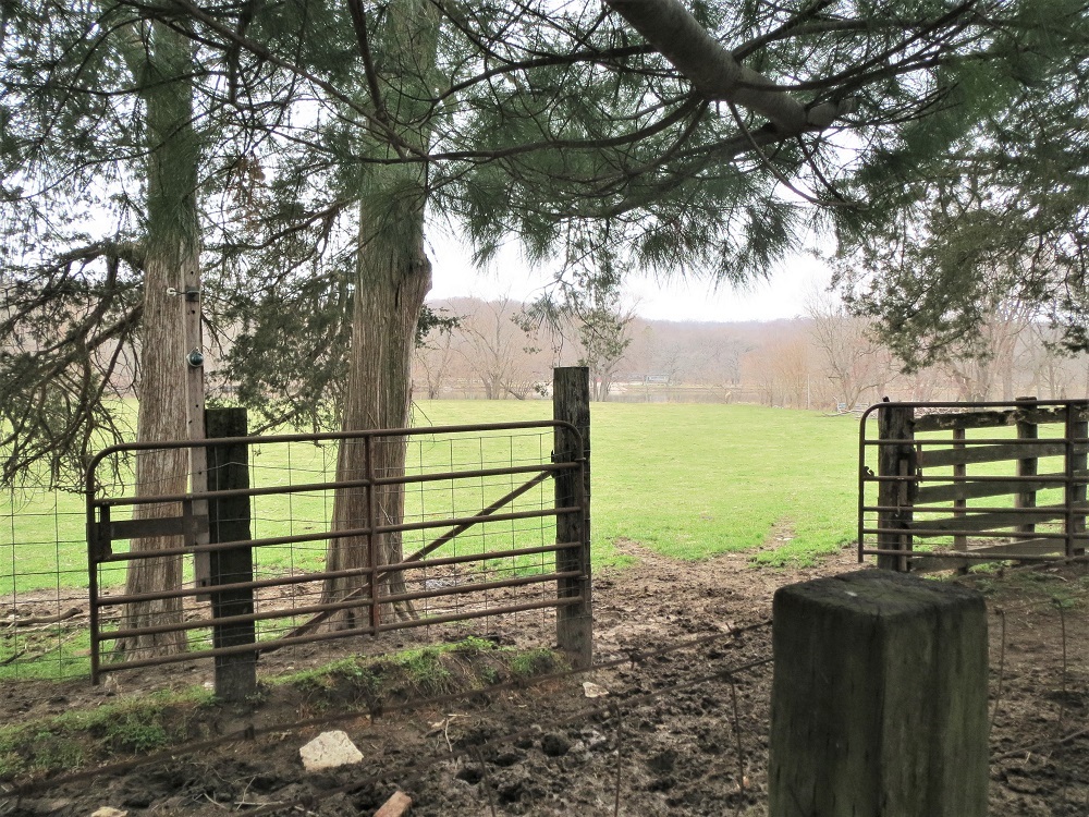 801 Colony Road Dixon, IL 61021 - Photo 3 of 10 a view of a yard with wooden fence