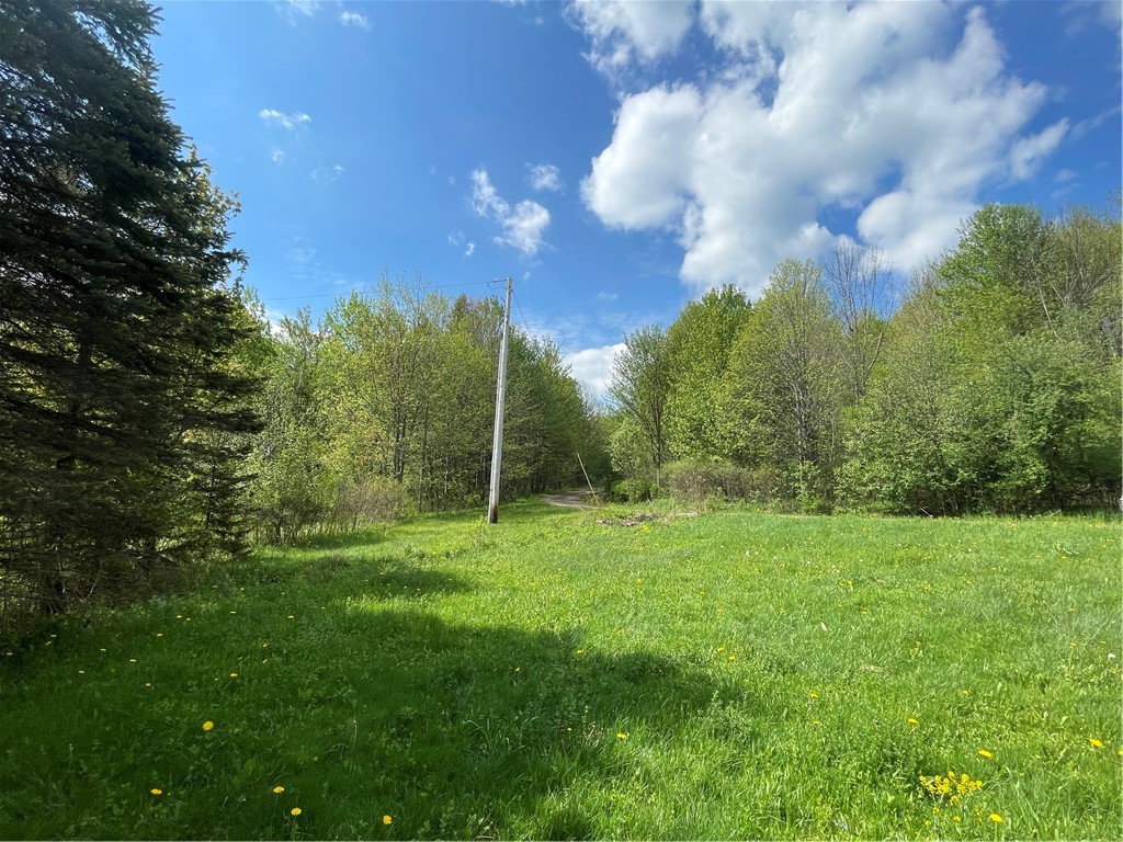 174 Peraglie Road Jefferson, NY 12093 - Photo 6 of 31