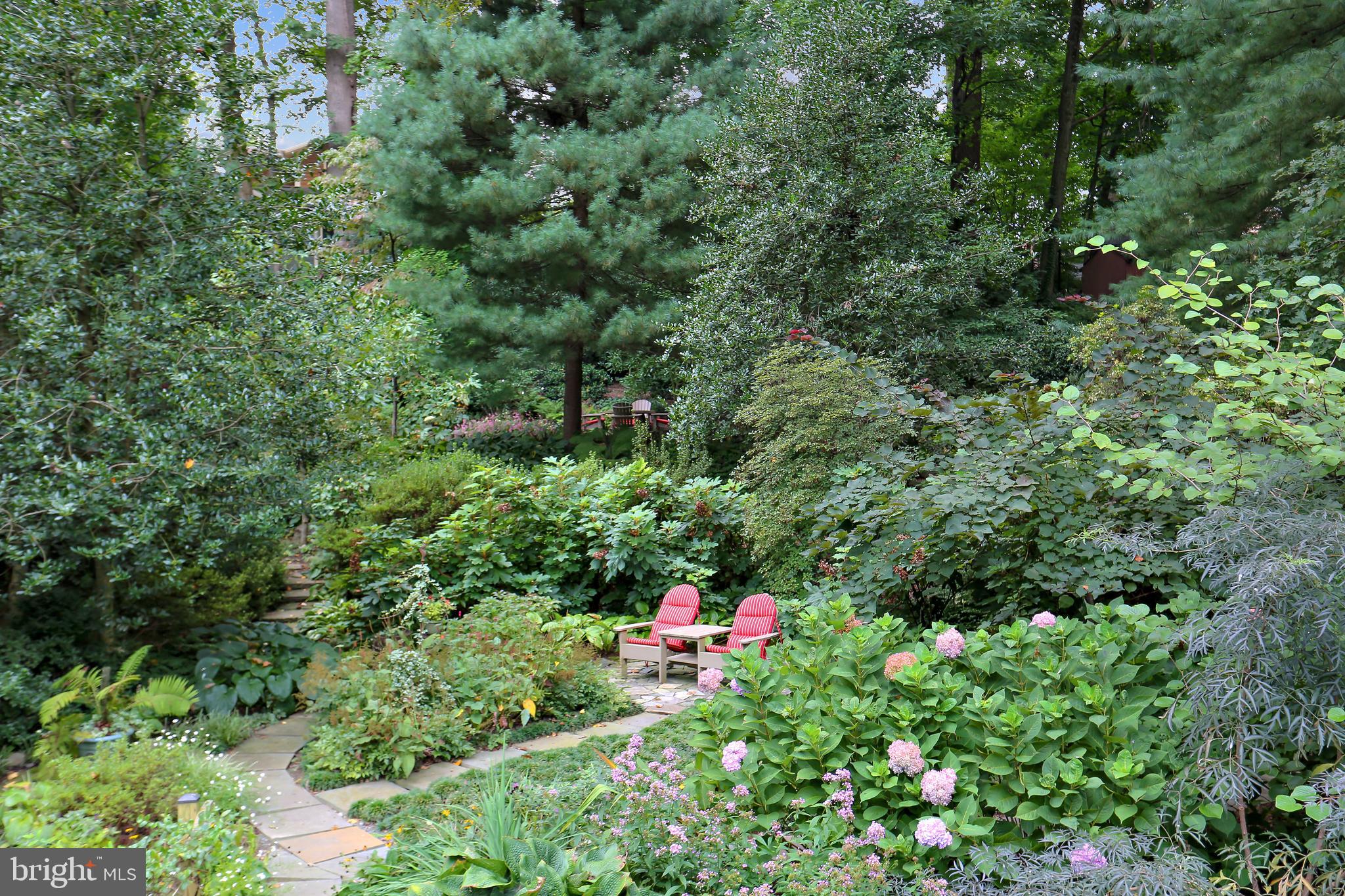 11116 Rokeby Avenue Garrett Park, MD 20896 - Photo 3 of 4 Spectacularly Landscaped