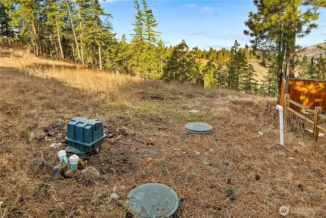 a view of river covered with trees
