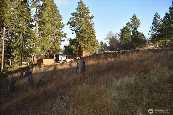 a view of a yard with wooden fence