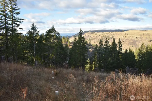 a view of lake with green space