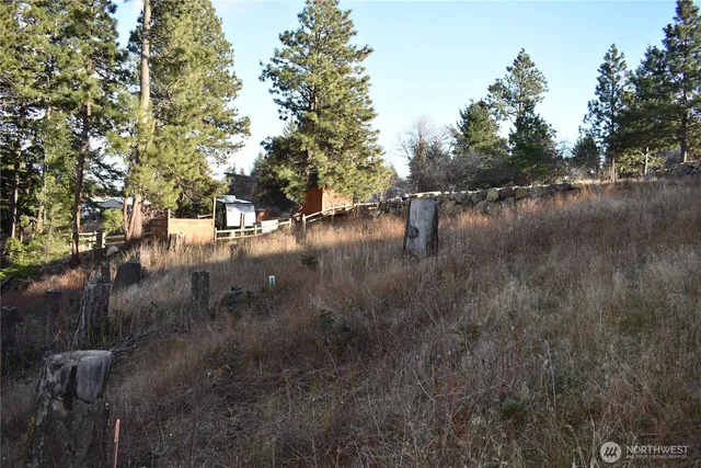 $155,000 | 0 Morrison Canyon Lane, Cle Elum, WA 98922