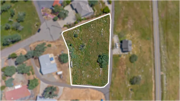 an aerial view of a bathroom with a garden and shower