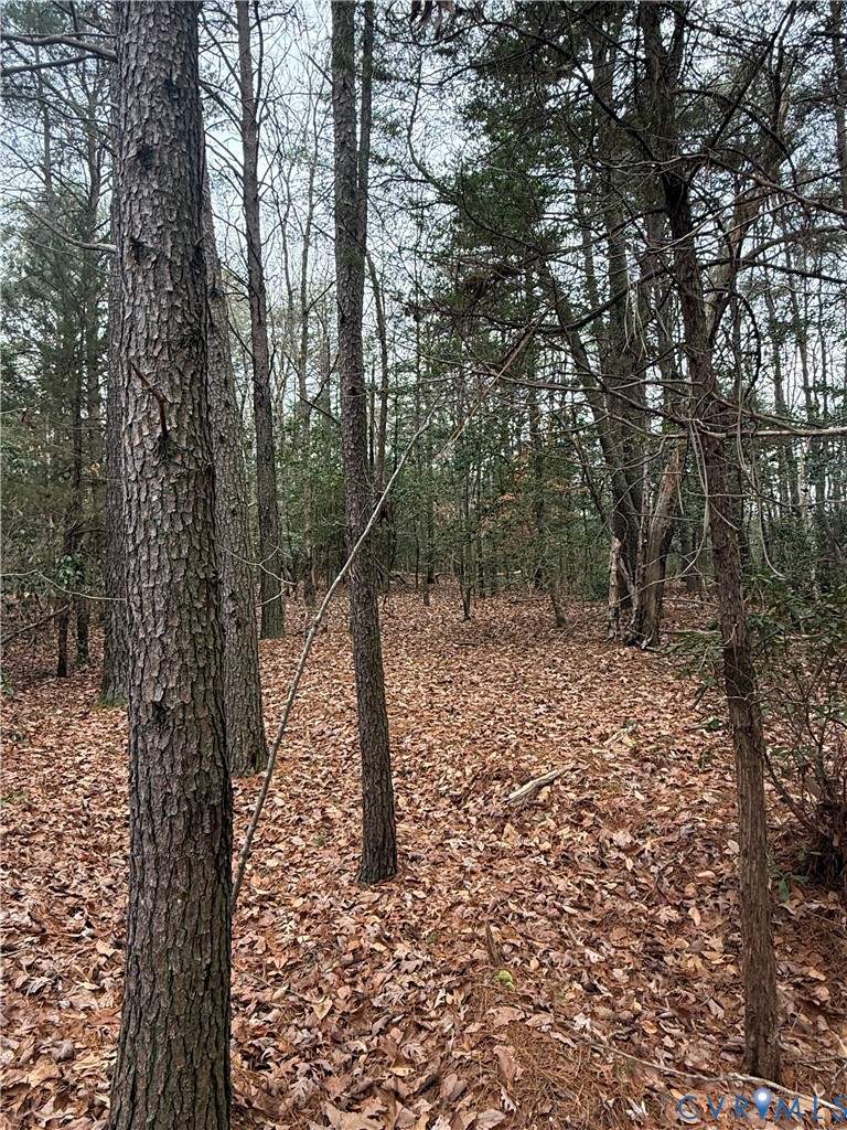 0 Whiting Creek Road Locust Hill, VA 23092 - Photo 3 of 5 a backyard of a house with lots of green space