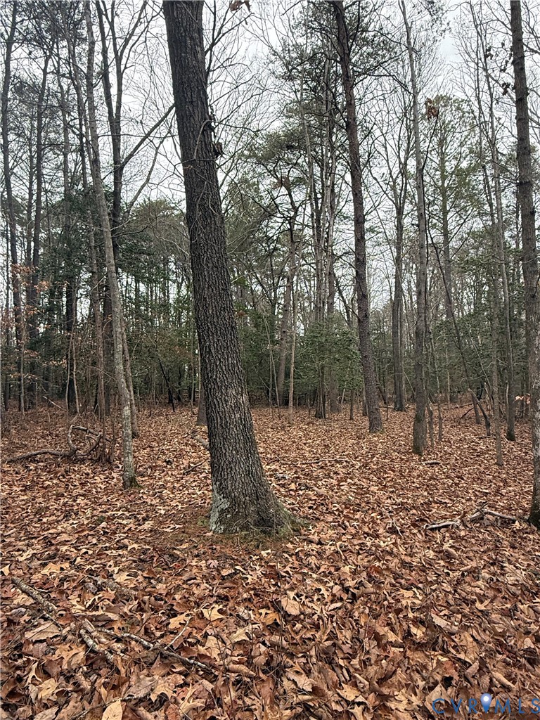 0 Whiting Creek Road Locust Hill, VA 23092 - Photo 4 of 5 a view of a forest filled with trees