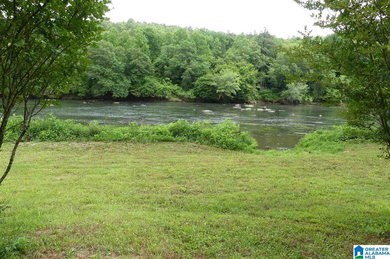 4205 County Road 15 Wadley, AL 36276 - Photo 15 of 29
