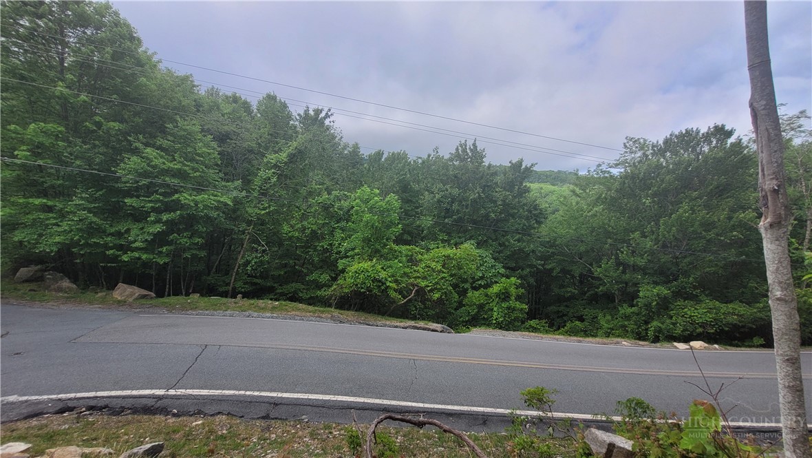 425 Pinnacle Ridge Road Beech Mountain, NC 28604 - Photo 13 of 14 a view of a street