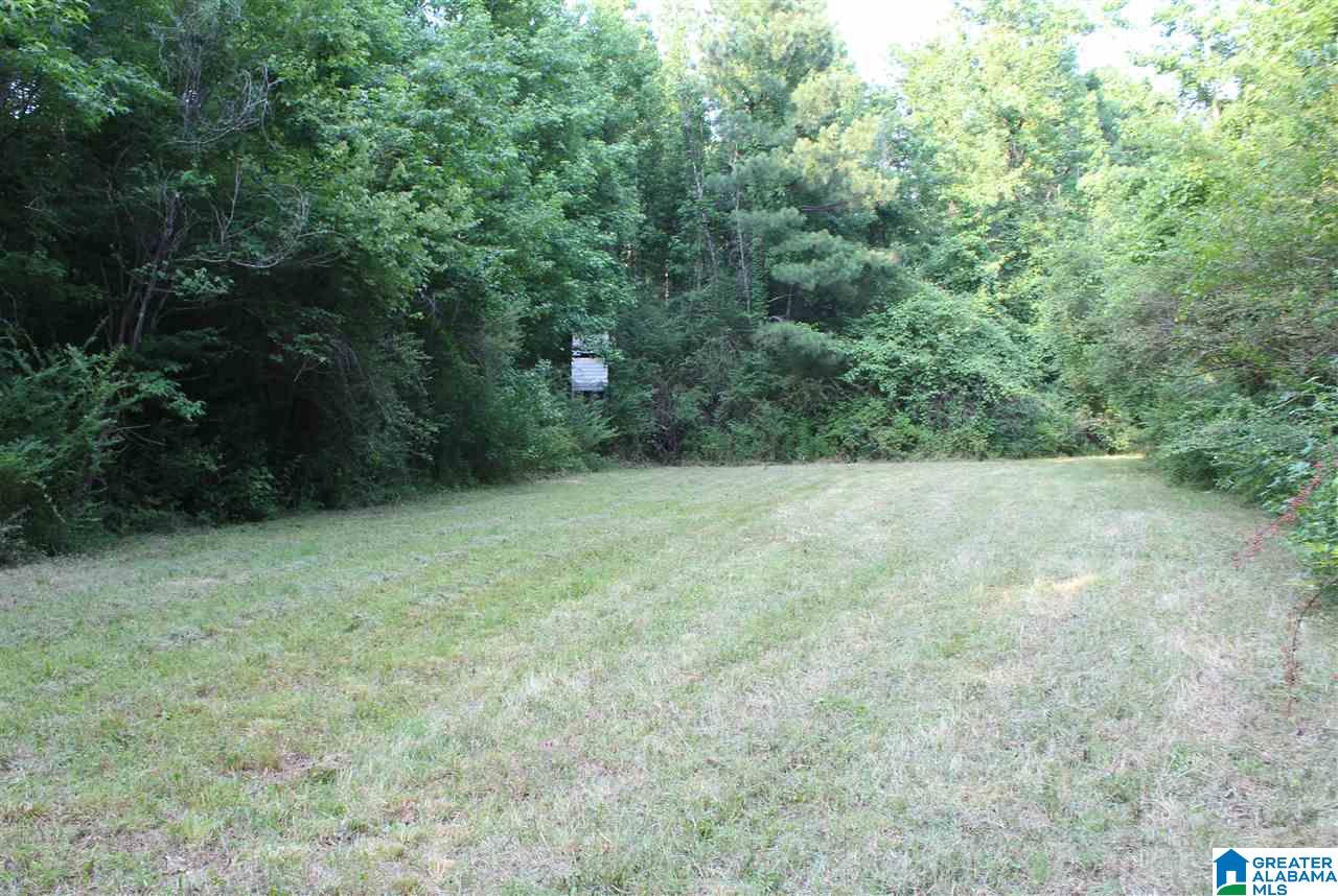 0 County Road 852 Bremen, AL 35033 - Photo 9 of 11
