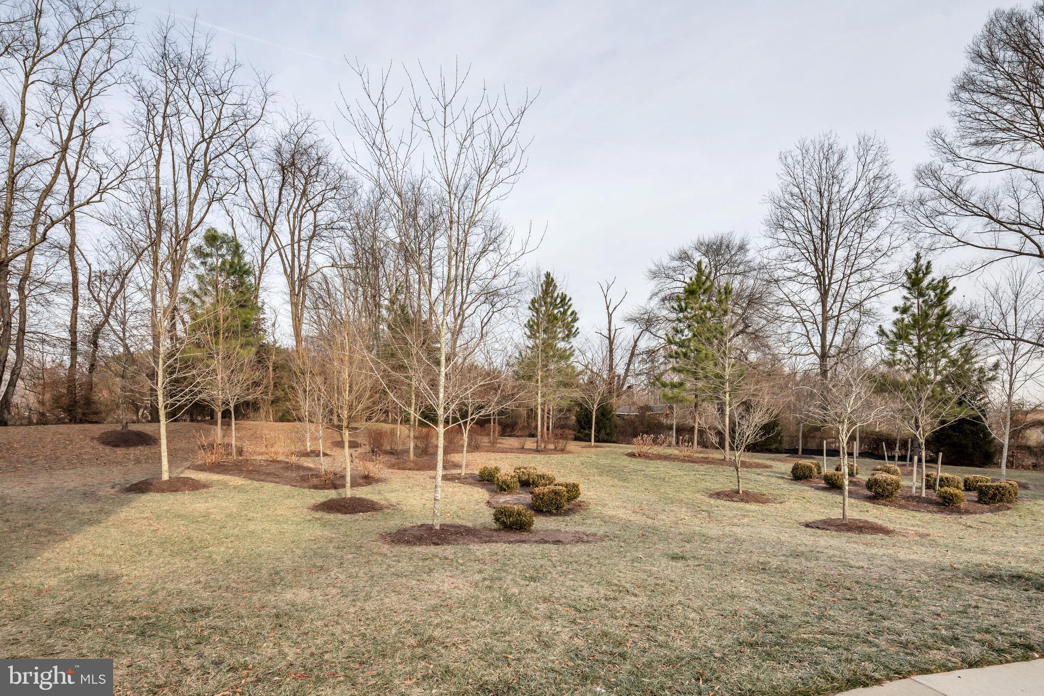 7450 Riding Meadow Way Manassas, VA 20111 - Photo 20 of 22 Gallery Image 20
