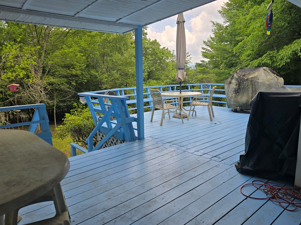 64 Green Oak Road Warne, NC 28909 - Photo 9 of 55 Great entertainment deck