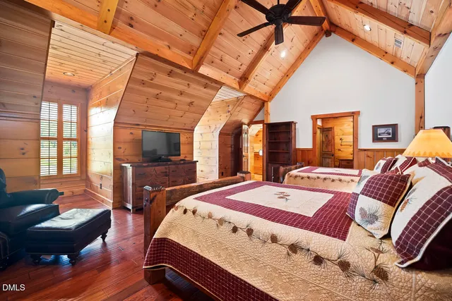 a view of a forest with a tree