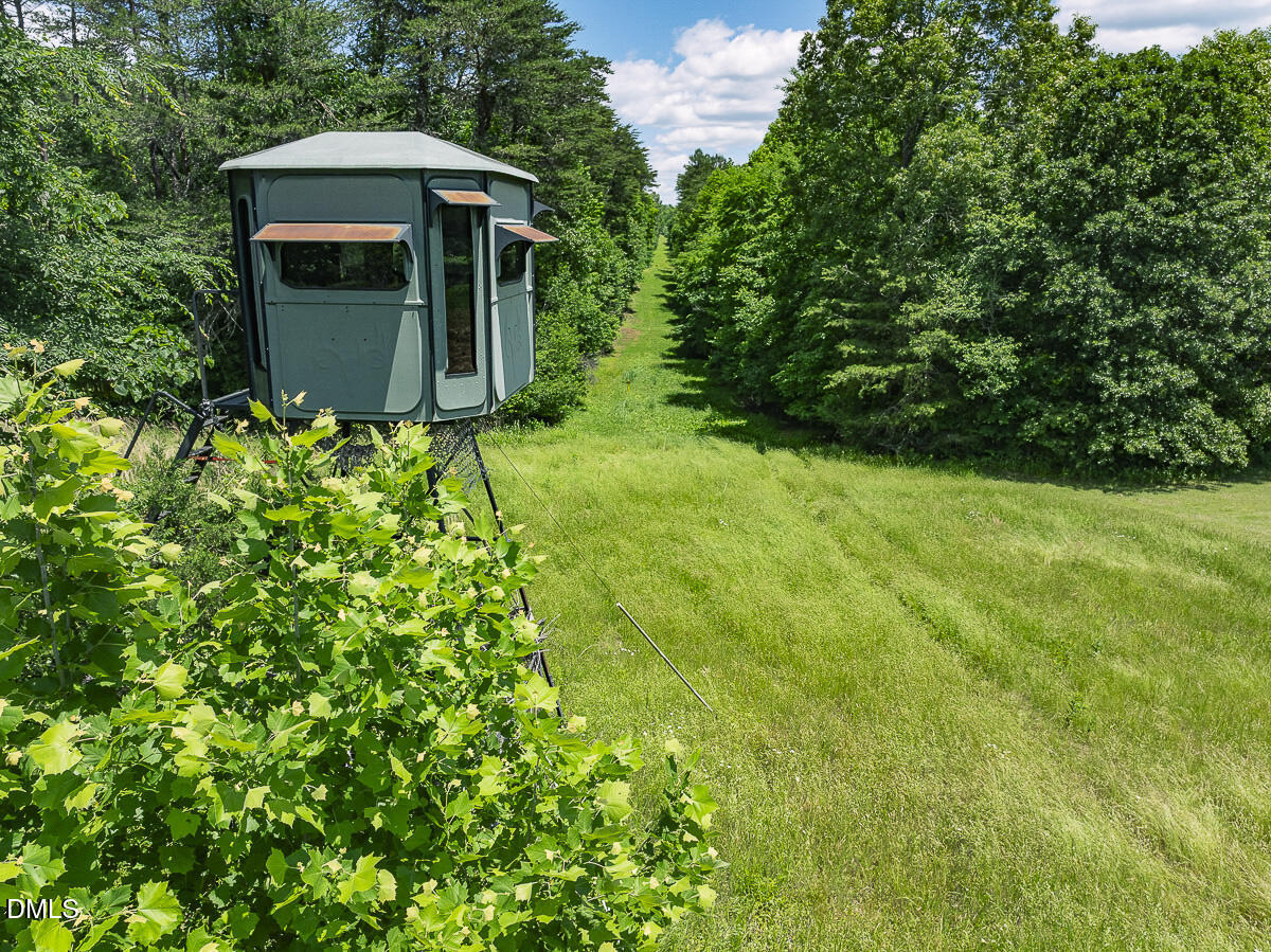 390 Line Creek Farm Road Yanceyville, NC 27379 - Photo 78 of 102 a view of a backyard with potted plants and large trees