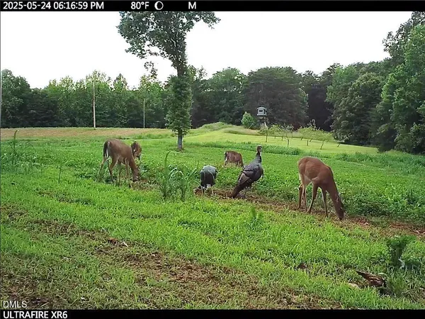 $4,749,000 | 390 Line Creek Farm Road, Yanceyville, NC 27379