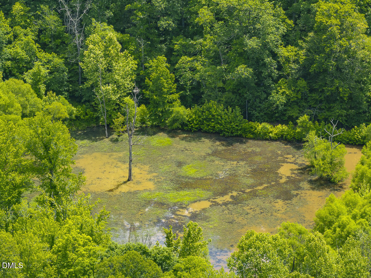 390 Line Creek Farm Road Yanceyville, NC 27379 - Photo 80 of 102 390 Line Creek Farm Rd-078