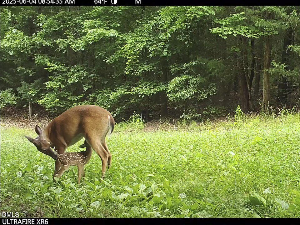 390 Line Creek Farm Road Yanceyville, NC 27379 - Photo 85 of 102 a view of outdoor seating area