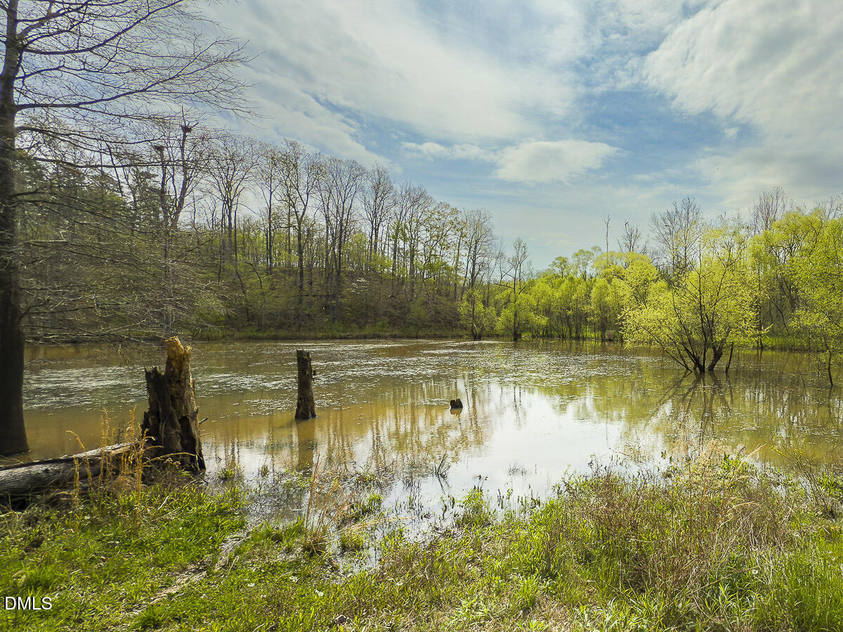 390 Line Creek Farm Road Yanceyville, NC 27379 - Photo 90 of 102 a view of lake